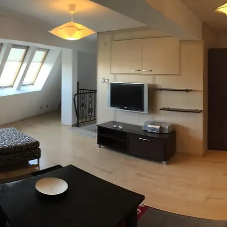 Apartament Business Centre Slatina *